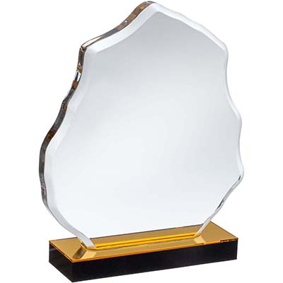 7.75in Clear & Gold Acrylic Award