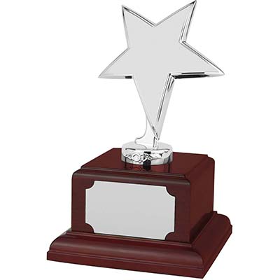 7in Silver Finish Star Award