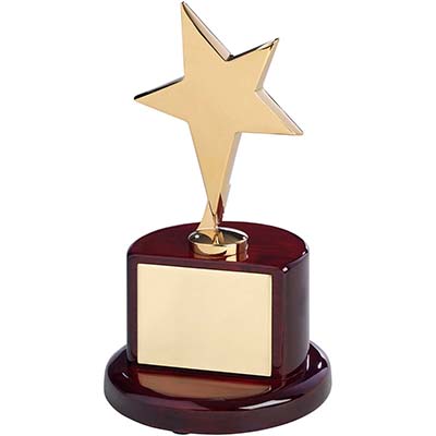 7in Gold Star Award