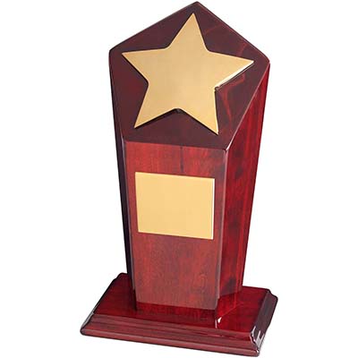 6in Gold Star Column Award