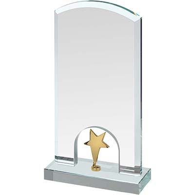 7in Gold Star Crystal Award