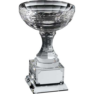 6in Clear Optical Crystal Bowl Cup