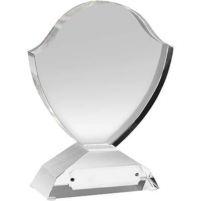 6in Clear Optical Crystal Award