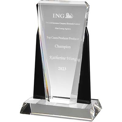 10.5in Clear & Black Optical Crystal Award