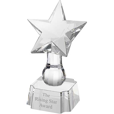 11.5in Clear Optical Crystal Rising Star Award