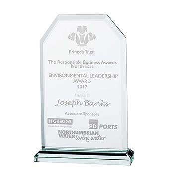 Executive Jade Glass Award 135mm