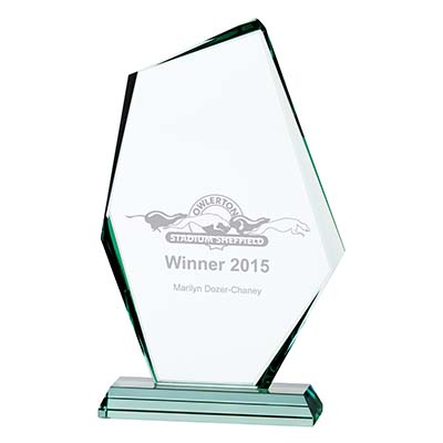 Discovery Jade Glass Award 280mm