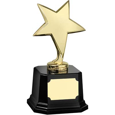 9in Gold Finish Star Award