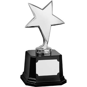 9in Silver Finish Star Award