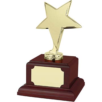 9in Gold Finish Star Award