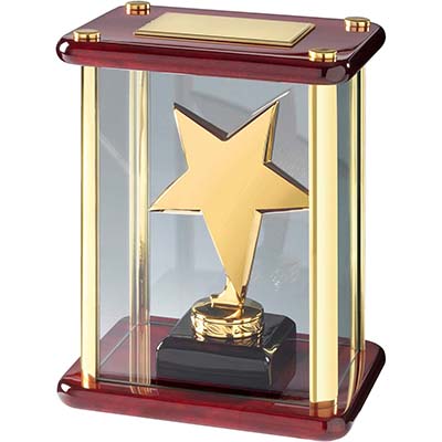 7.25in Gold Star Award in Case