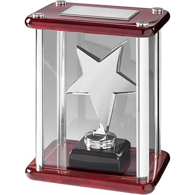 7.25in Silver Star Award in Case