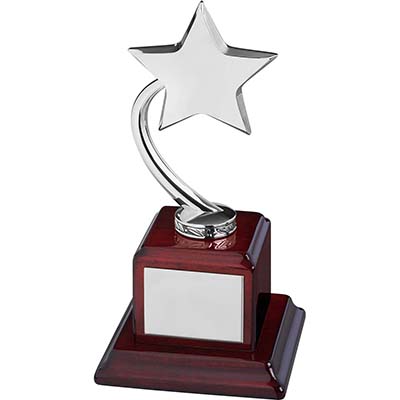 9.25in Silver Shooting Star Award