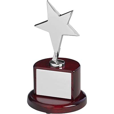 7in Silver Star Award
