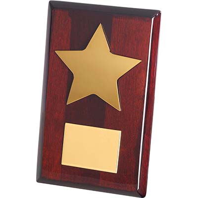 7.75in Gold Star Plaque Award