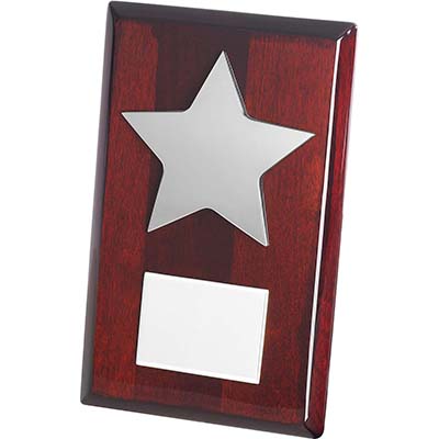 7.75in Silver Star Plaque Award