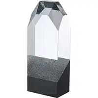 8in Clear & Black Silver Glitter Award